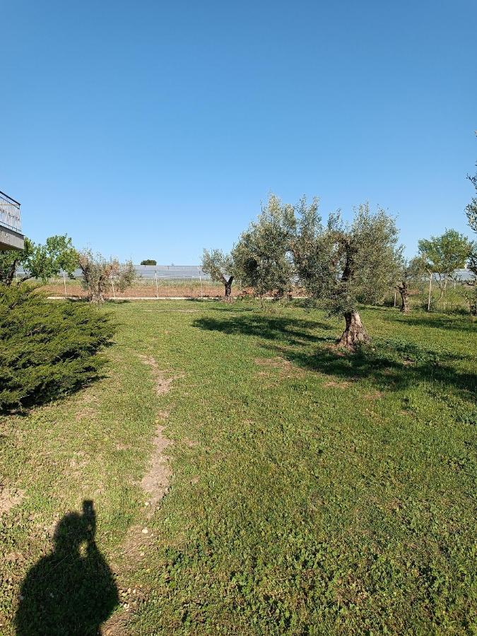 The Secret Olive House Villa Nea Michaniona Eksteriør billede
