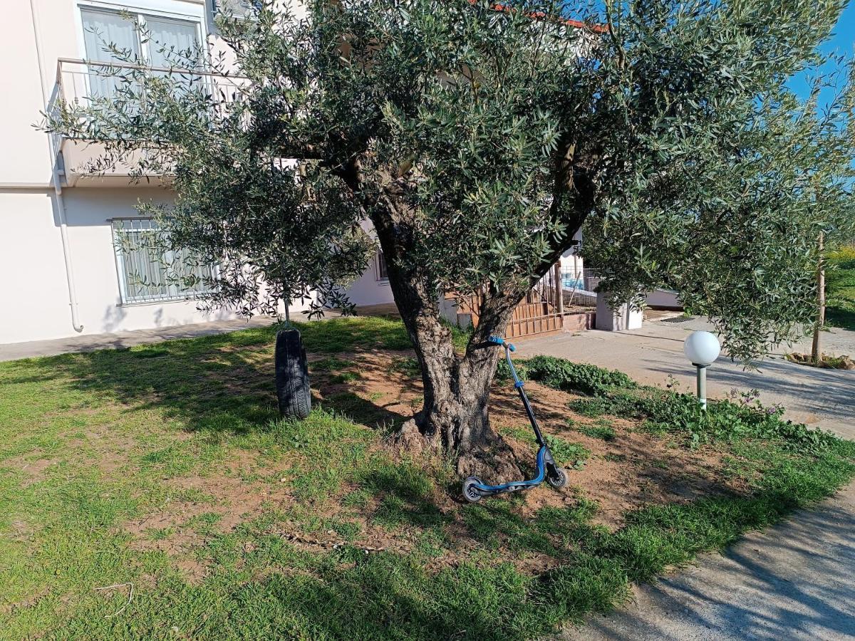 The Secret Olive House Villa Nea Michaniona Eksteriør billede